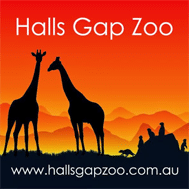 Giraffe Zoo | Halls Gap | Animal Transport | Big Bow