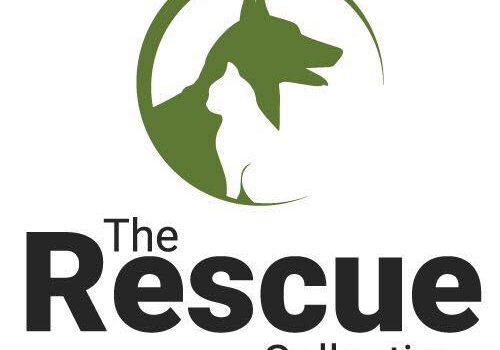 The rescue collective